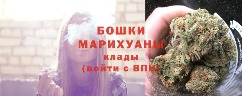 Бошки марихуана Ganja  Белокуриха 